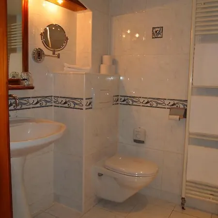 Отель Logis Restaurant Au Cerf D'or 3*