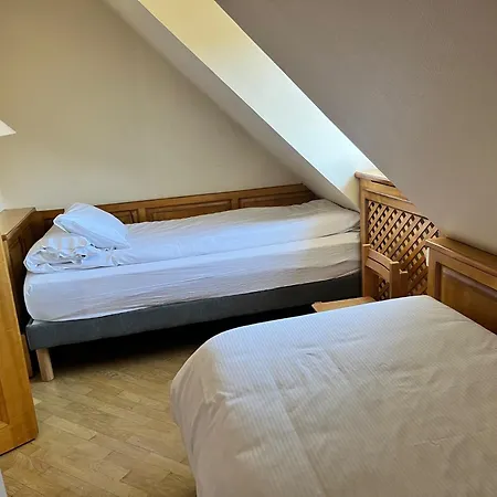 Logis Restaurant Au Cerf D'or Hotel Strasbourg