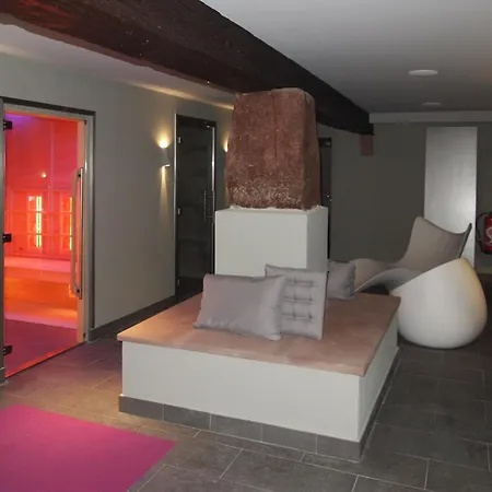 Hotel Logis Restaurant Au Cerf D'or Straatsburg