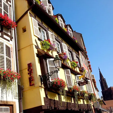 Logis Restaurant Au Cerf D'or Hotel 3*