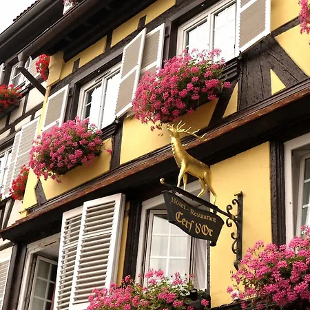 Hotel Logis Restaurant Au Cerf D'or