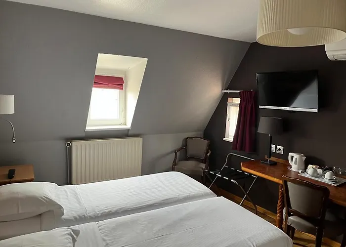 Logis Restaurant Au Cerf D'or 3* Straatsburg