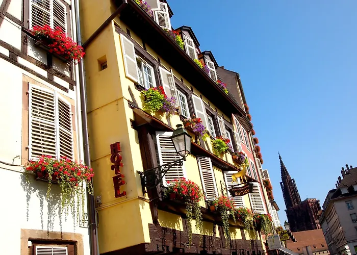 Logis Restaurant Au Cerf D'or 3*